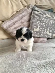 Beautiful little female with such striking lovely features