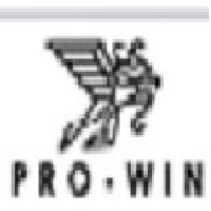 Hunan pro-win import and export co ltd