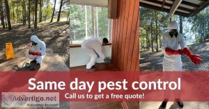 Get expert for pest control hobart | true pest control