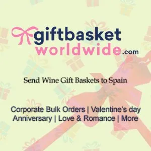 Wine delivery spain is now easy and affordable