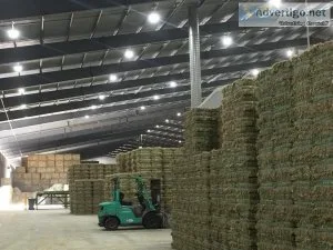 Available Hay Grass Feed For Livestock And Horses