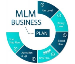 Mlm software in patna | camwel solution llp