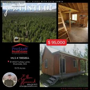 19 Acres with Cute Cabin