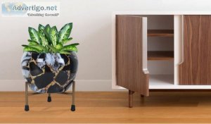 Offers up to 55% off on planter at wooden street