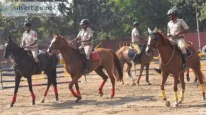 Horse Riding Training