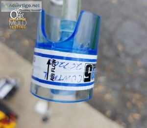 Mold testing service in Fort Lauderdale