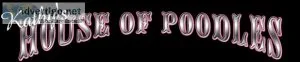 Kathy s House Of Poodles
