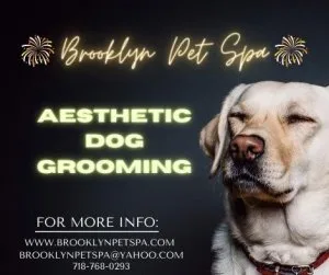 Do you know Brooklyn Pet Spa provides Aesthetic Dog Grooming