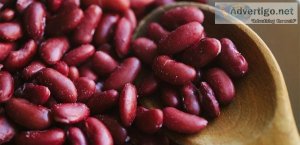 A Subtle Introduction to Bean Farming