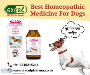 Choose the Most Effective Homeopathic Medicine For Dogs at Your 