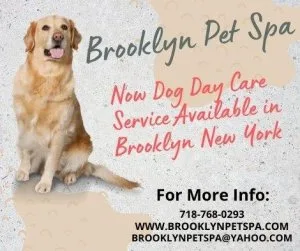 What do you think Brooklyn Pet Spa provides the best Dog DayCare
