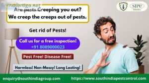 Residential pest control in goa