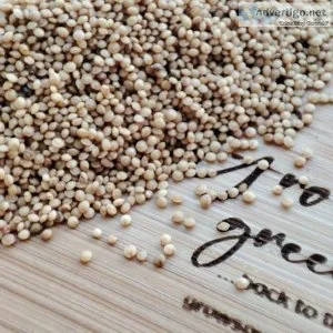 High-Quality Organic Seeds Online in The UK
