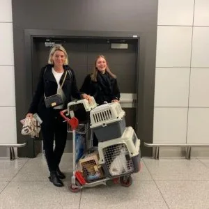 JetSet Pet - The Pet Relocation Company  Pet Relocation UAE