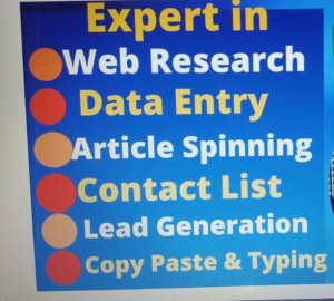 Looking For Freelancer Data Entry etc etc Buyer