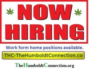 Help Wanted