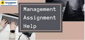 Management Assignment Help