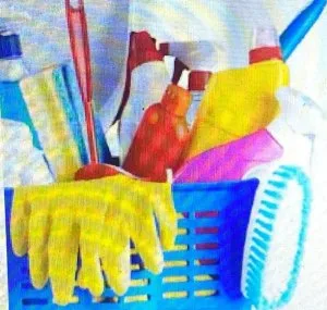 Home and Office Cleaning Service