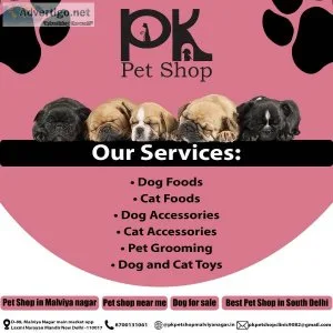 Dog For Sale  Best Pet Shop in Delhi  Pet Shop near me