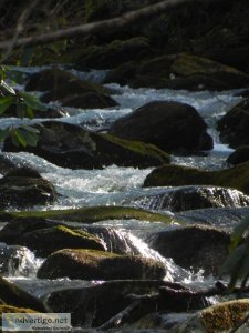 3.38 ACRES WITH A RIVER AND SPRINGS