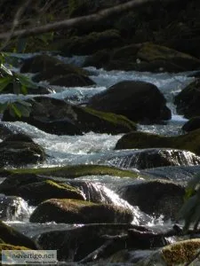 3.38 ACRES WITH A RIVER AND SPRINGS