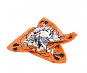 Browse Our Silk Women Scarf Online - Meminoo Luxury