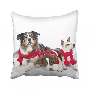 Decorative Pillows with Dogs Oklahoma