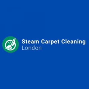 Expert Carpet Cleaning in London - Steamcarpetcleaningl ondon.uk