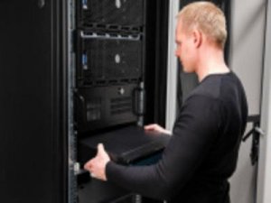 Network Analyst