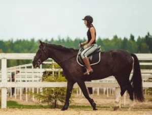 Discover The Best Horse Trails Near You