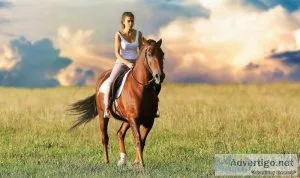 Back Horse Riding