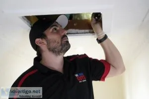 Brisbane Termite Management  Thelocalguyspestcont rol.com.au