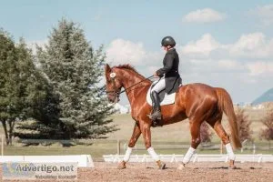 Horse Riding