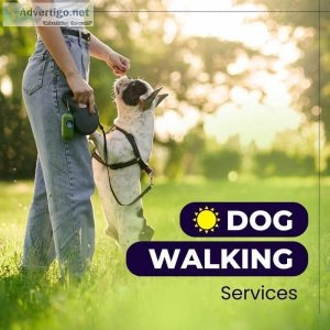 Dog Walking in Gurgaon For Affordable Prices