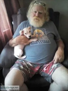 FREE Puppy