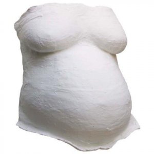 Place Your Order For A Diy Belly Casting Kit