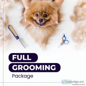 Best Dog Grooming Services in Noida