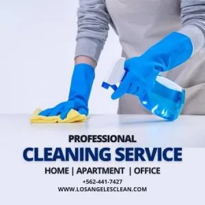  PROFESSIONAL HOUSE CLEANING   CONTACT THE PROS  BOOK NOW