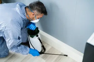 Calgary pest control and pest removal service