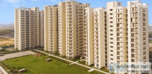Luxury ready to move in 3 bhk flats in faridabad