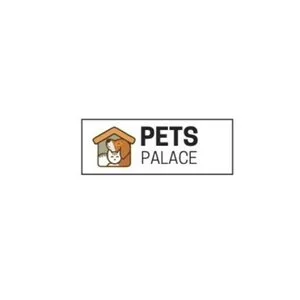 English Cream Golden Retriever Puppies for Sale-in Indiana