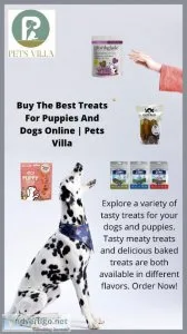 Buy The Best Treats For Puppies And Dogs Online  Pets Villa