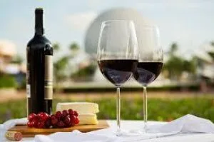True Fine Wines at Your Door