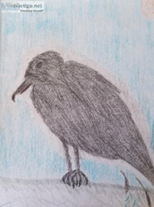 Blackbird on a Fence