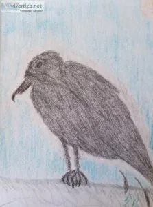 Blackbird on a Fence