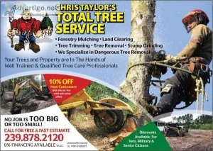 Free estimates grapple loads dumpster service tree service