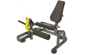 Commercial gym equipment manufactures in mumbai