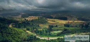 Munnar Trip Plan for 3 Days