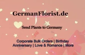 Plants to germany at absolutely affordable prices