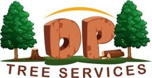 DP Tree Removal and Landscaping